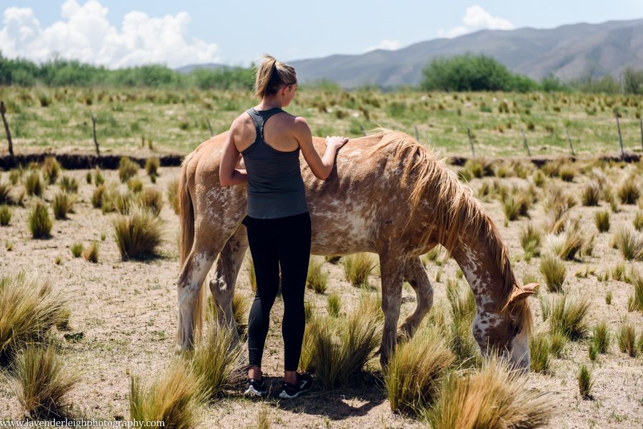 A vacation to Santiago, Chile and Mendoza, Argentina in January 2020.
