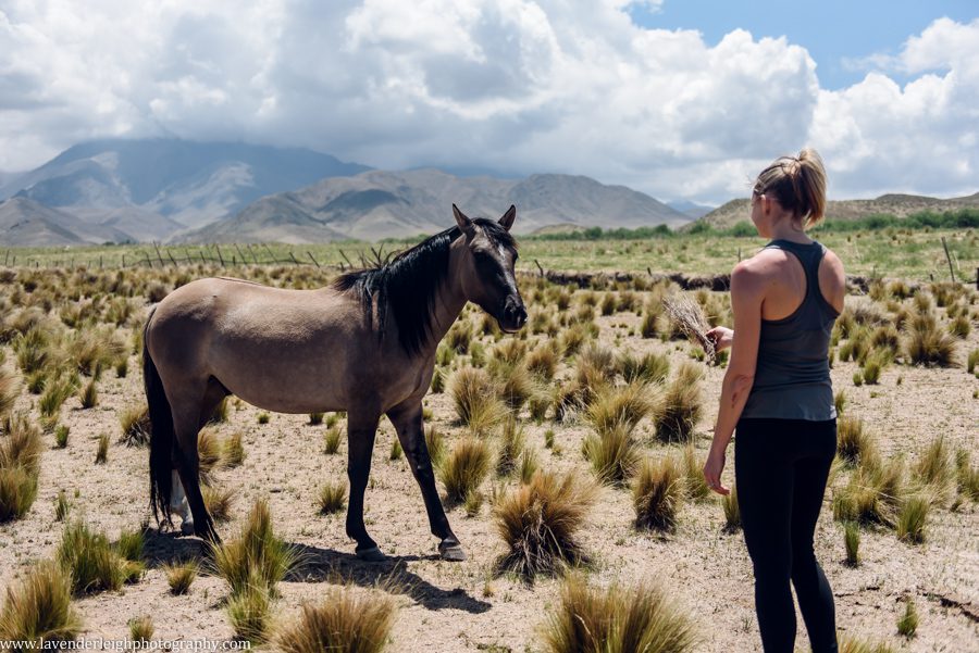 A vacation to Santiago, Chile and Mendoza, Argentina in January 2020.