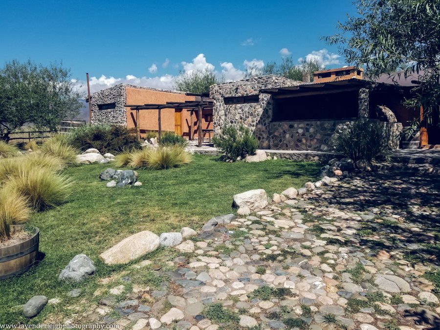 A vacation to Santiago, Chile and Mendoza, Argentina in January 2020.