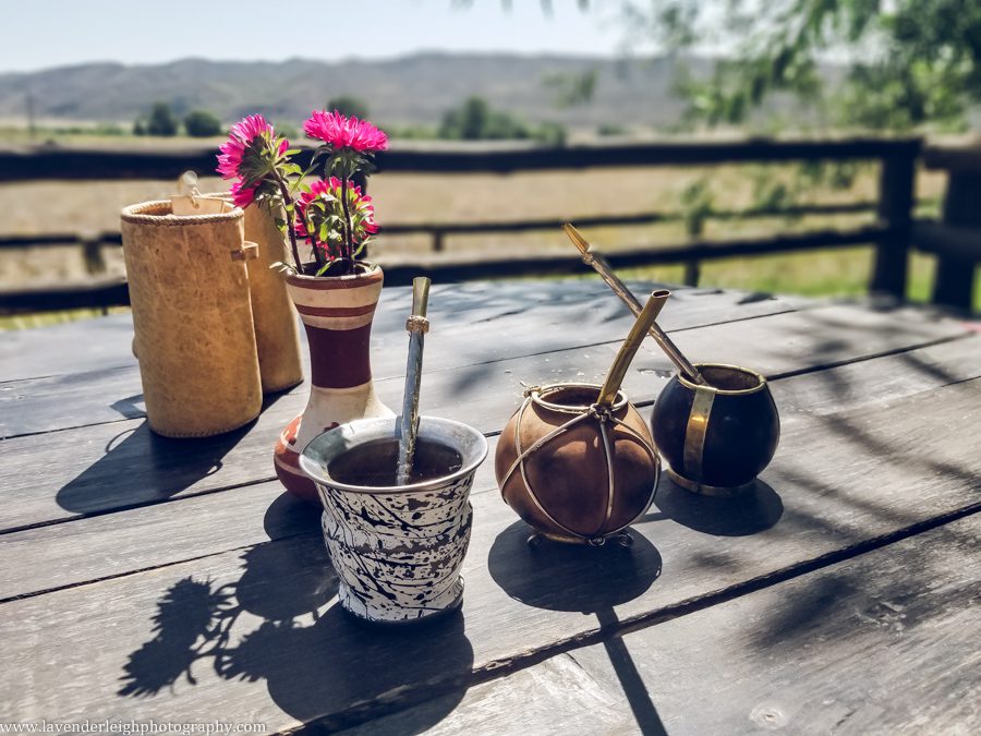 A vacation to Santiago, Chile and Mendoza, Argentina in January 2020.