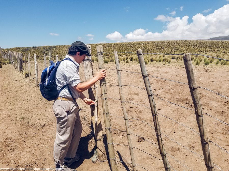 A vacation to Santiago, Chile and Mendoza, Argentina in January 2020.