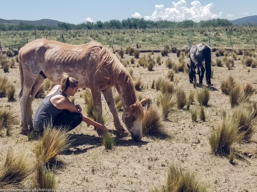 A vacation to Santiago, Chile and Mendoza, Argentina in January 2020.