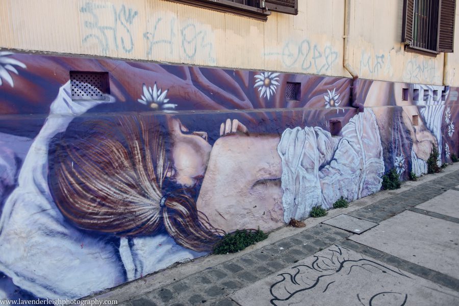 A vacation to Santiago, Chile and Mendoza, Argentina in January 2020.