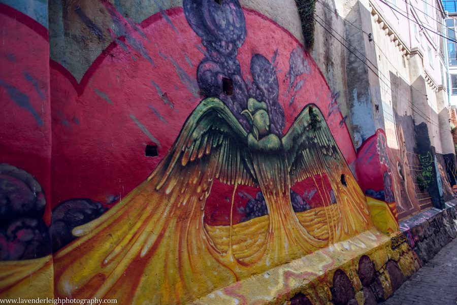 A vacation to Santiago, Chile and Mendoza, Argentina in January 2020.