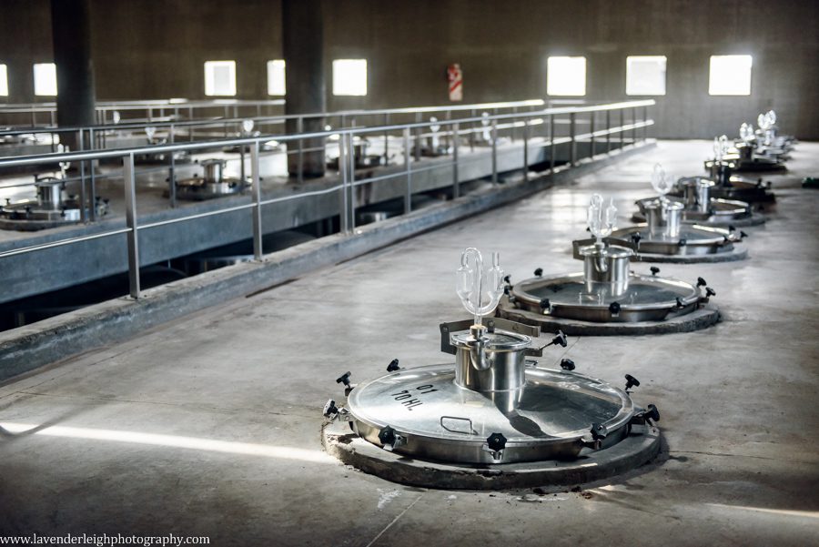 A vacation to Santiago, Chile and Mendoza, Argentina in January 2020.