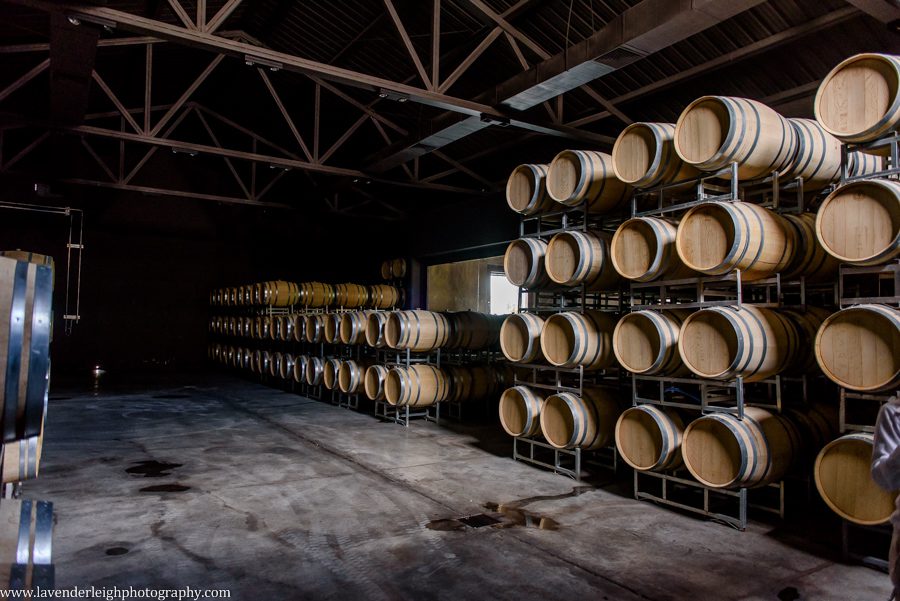 A vacation to Santiago, Chile and Mendoza, Argentina in January 2020.