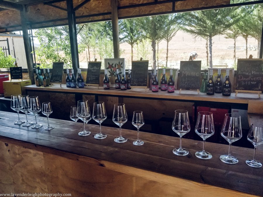 A vacation to Santiago, Chile and Mendoza, Argentina in January 2020.