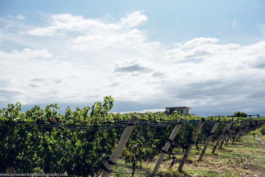 A vacation to Santiago, Chile and Mendoza, Argentina in January 2020.