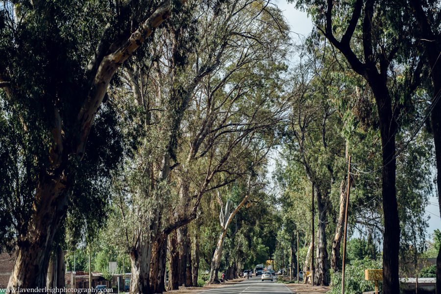 A vacation to Santiago, Chile and Mendoza, Argentina in January 2020.