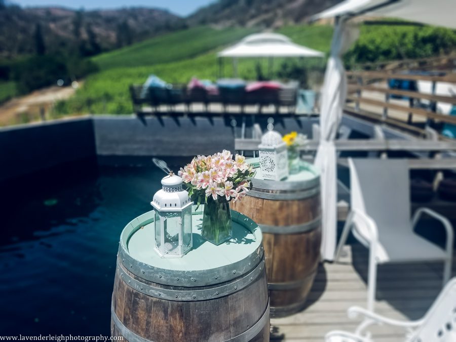 A vacation to Santiago, Chile and Mendoza, Argentina in January 2020.