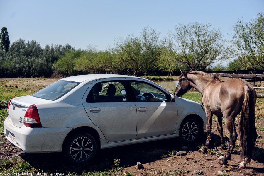 A vacation to Santiago, Chile and Mendoza, Argentina in January 2020.