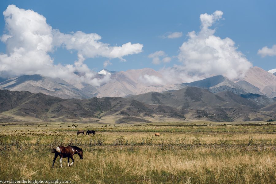 A vacation to Santiago, Chile and Mendoza, Argentina in January 2020.