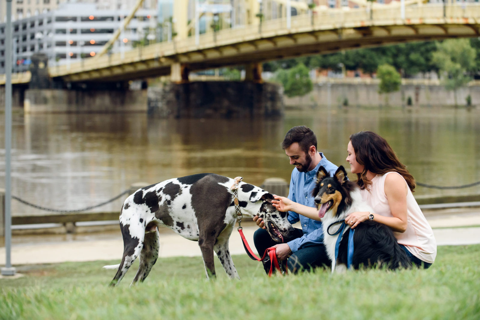an engaged couple playing with their dogs on the North Shore in Pittsburgh, Pennsylvania