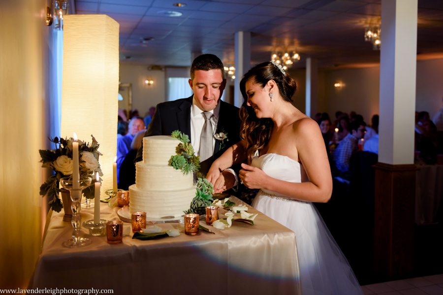 Lavender Leigh Photography, pittsburgh wedding photographer, wedding, photographer, photograph, picture, engagement, Pennsylvania, Best of the Knot, Couples' Choice, wedding venues, ceremony reception, summer, outdoor, july