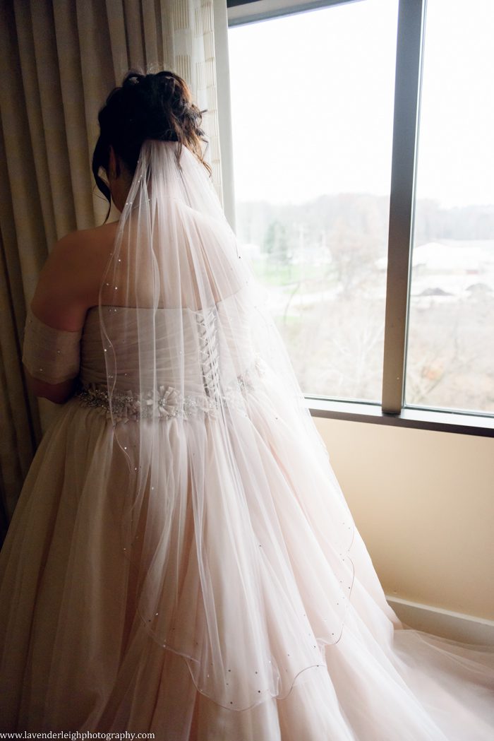 A November wedding at the Pittsburgh Airport Marriot in Pennsylvania.