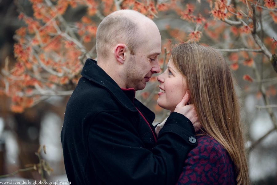 A winter engagement session at Mellon Park in Pittsburgh Pennsylvania. 