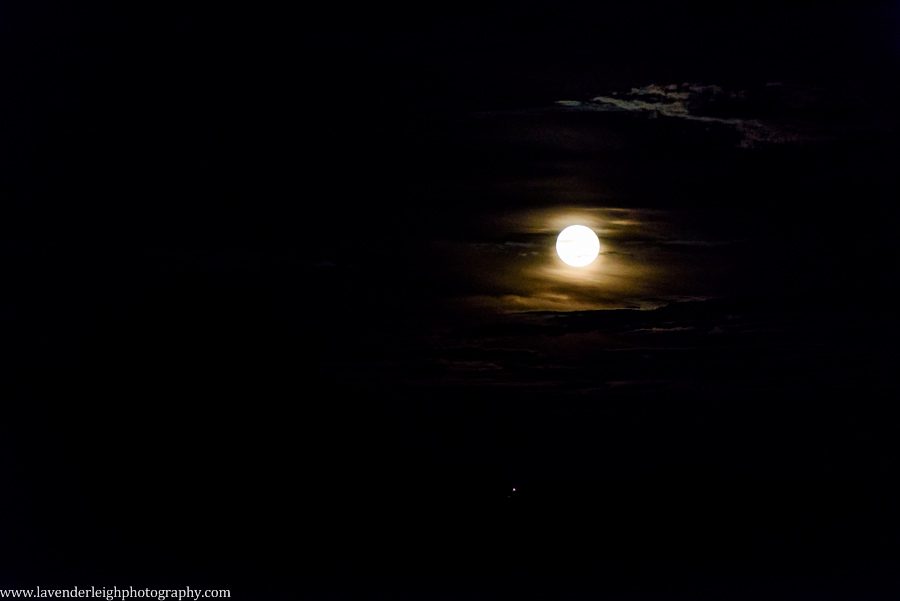 Lavender Leigh Photography, wedding photographer, photograph, picture, engagement session, couple's photography, Pennsylvania, Best of the Knot, Couples' Choice, chic, sophisticated, wedding venues, ceremony reception, Shannopin Country Club, golf course, September, fall, autumn, bride, groom