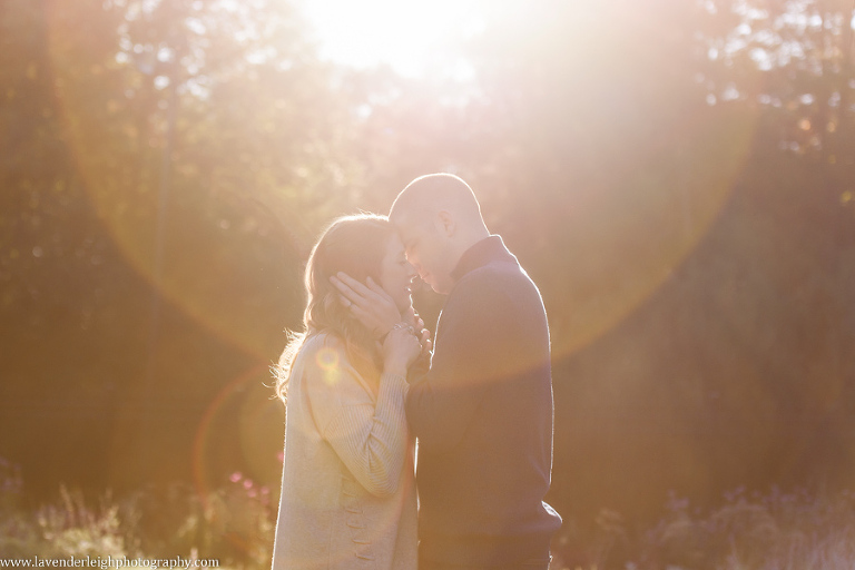 fall, Hartwood Acres, Pittsburgh, Pennsylvania, one year anniversary, photo, session, couples' photography, photo, image, picture, wedding dress