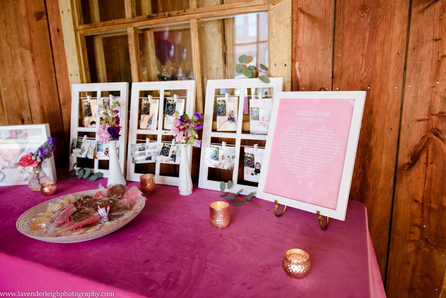 Birthday party, winter, Wanderlust Weddings and Events, Lavender Leigh Photography, Bella Christy and Lil' Z's Sweet Boutique, Sapphire and Lace Event Design, Vintage Alley Rentals, Oh Joyful Day