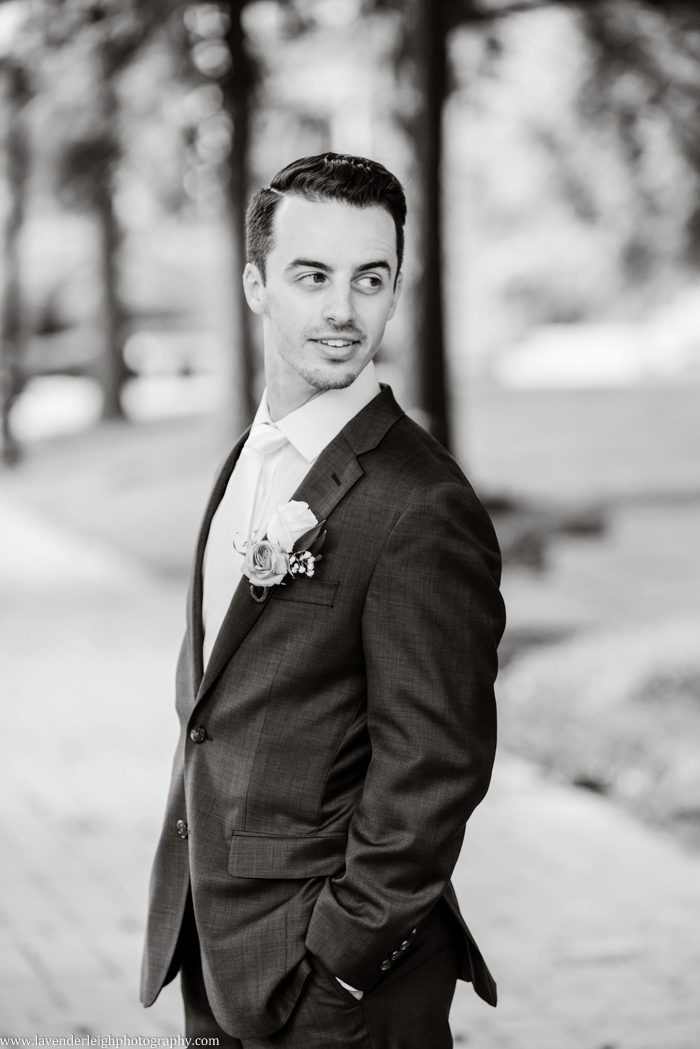 George Washington Hotel, St. Patrick's Church, summer, June, purple bouquets, Lavender Leigh Photography, pittsburgh wedding photographer, wedding, photographer, photograph, picture, engagement, winter, Pennsylvania, Best of the Knot, Couples' Choice, wedding venues, ceremony reception, dogs in tuxedos, cap sleeve lace wedding gown, vintage glamour