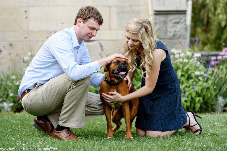 pittsburgh, engagement, photographer, photos, pictures, Hartwood Acres, summer, dog, boxer, wedding, park, mansion, architecture, lavender leigh photography, pennsylvania, classy, sophisticated imagery, love, engaged, park, location, scenic