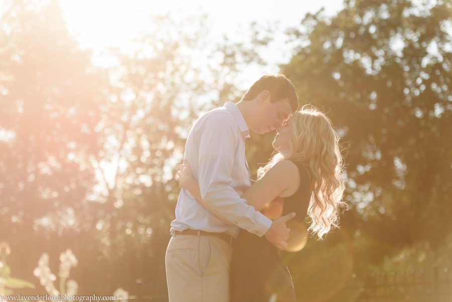 pittsburgh, engagement, photographer, photos, pictures, Hartwood Acres, summer, dog, boxer, wedding, park, mansion, architecture, lavender leigh photography, pennsylvania, classy, sophisticated imagery, love, engaged, park, location, scenic