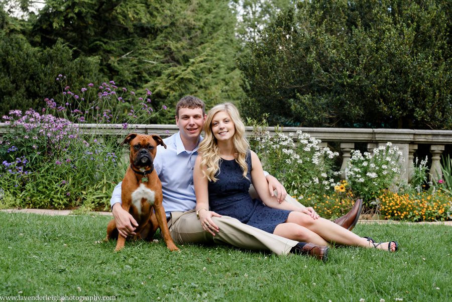 pittsburgh, engagement, photographer, photos, pictures, Hartwood Acres, summer, dog, boxer, wedding, park, mansion, architecture, lavender leigh photography, pennsylvania, classy, sophisticated imagery, love, engaged, park, location, scenic