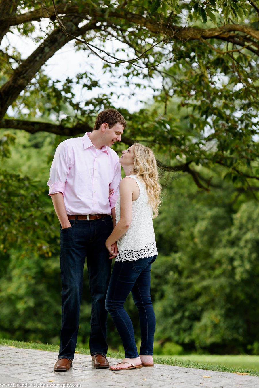 pittsburgh, engagement, photographer, photos, pictures, Hartwood Acres, summer, dog, boxer, wedding, park, mansion, architecture, lavender leigh photography, pennsylvania, classy, sophisticated imagery, love, engaged, park, location, scenic