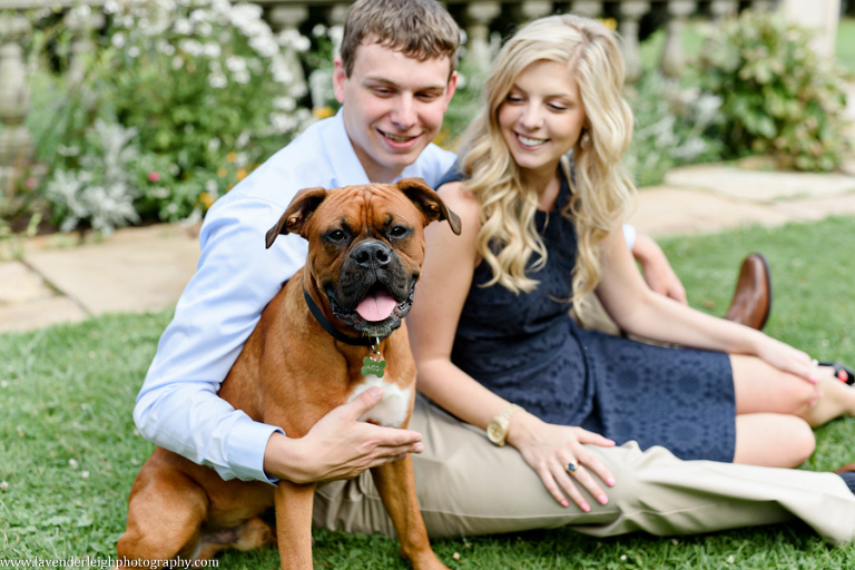 pittsburgh, engagement, photographer, photos, pictures, Hartwood Acres, summer, dog, boxer, wedding, park, mansion, architecture, lavender leigh photography, pennsylvania, classy, sophisticated imagery, love, engaged, park, location, scenic