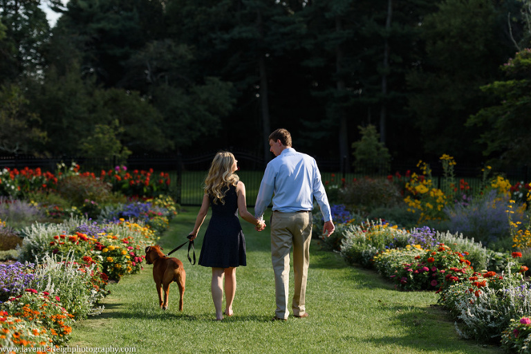 pittsburgh, pennsylvania, engagement, photos, session, wedding, couple, hartwood acres, lavender leigh photography, summer, pet, dog, park, mansion