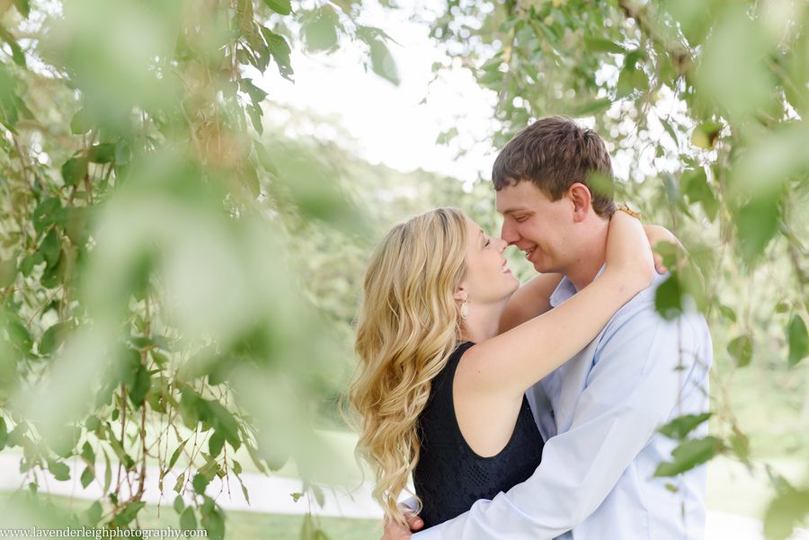 pittsburgh, engagement, photographer, photos, pictures, Hartwood Acres, summer, dog, boxer, wedding, park, mansion, architecture, lavender leigh photography, pennsylvania, classy, sophisticated imagery, love, engaged, park, location, scenic