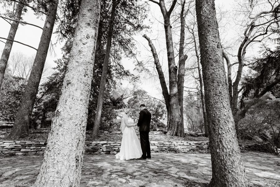 Lavender Leigh Photography, pittsburgh, Hyeholde, Moon, wedding, photographer, photograph, picture, engagement, winter, Pennsylvania, Best of the Knot, Couples' Choice, wedding venues, ceremony reception, outdoor ceremony, spring wedding, purple bouquets