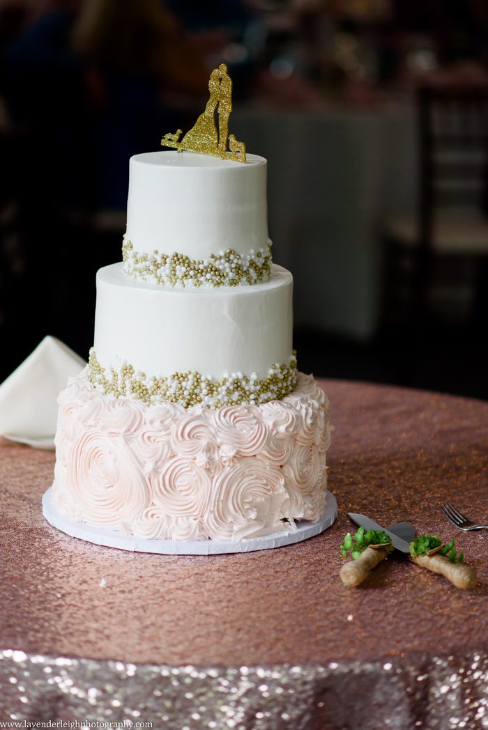 Lavender Leigh Photography, pittsburgh wedding photography, The Grand Estate, Freeport, wedding, photographer, photograph, picture, engagement, spring, Pennsylvania, Best of the Knot, Couples' Choice, wedding venues, ceremony reception, outdoor