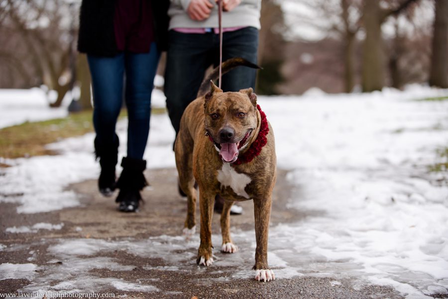 pittsburgh wedding photographers, photographer, pittsburgh photographers, wedding venues pittsburgh, photography, photographs, photos , Pittsburgh, Pennsylvania, engagement, boudoir, best, photo, pictures