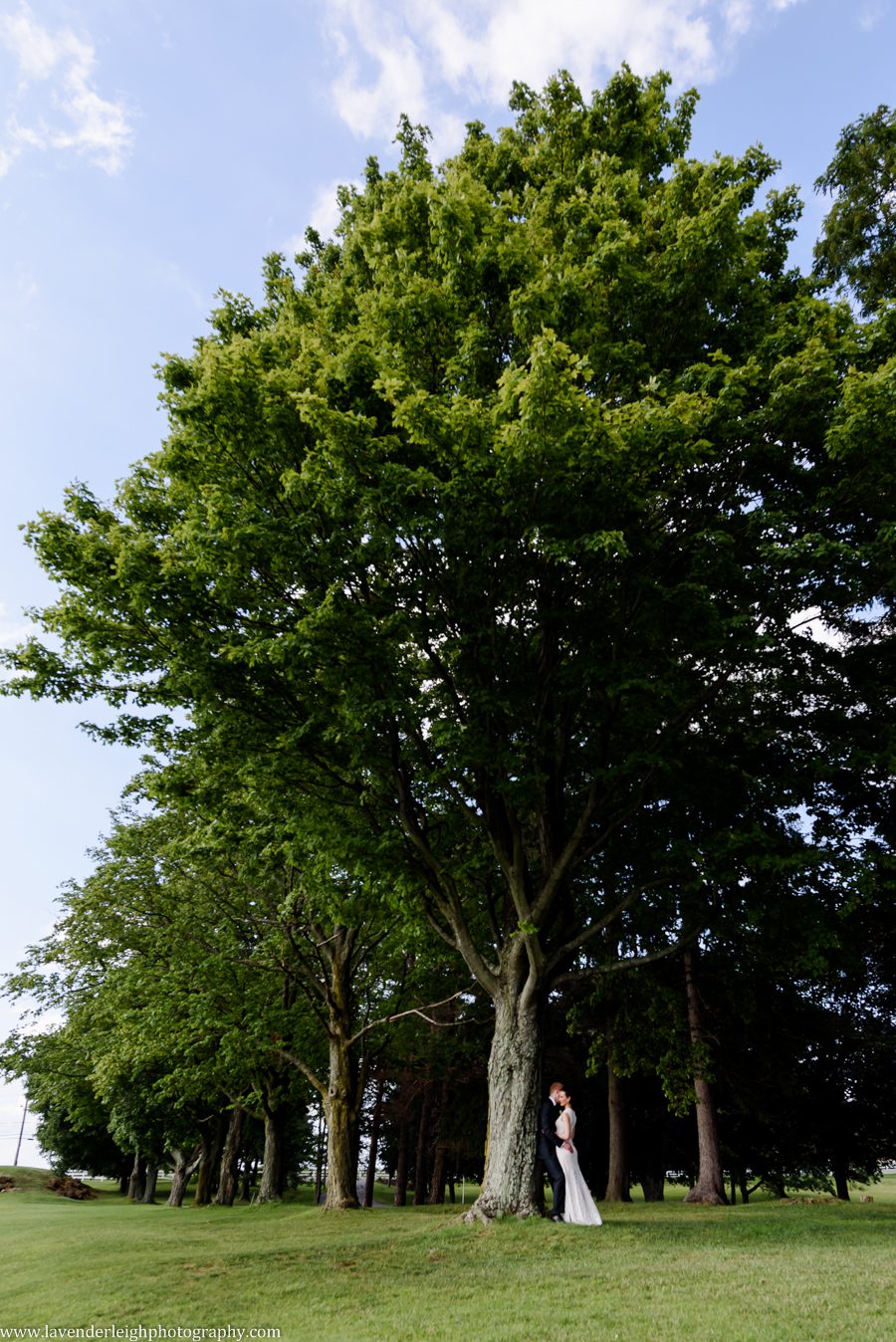 Pittsburgh, wedding photographer, photograph, picture, Montour Country Club, ceremony, reception, golf club, summer, July, Lavender Leigh Photography, Pennsylvania, St. James Catholic Church, lace wedding dress, navy bridesmaids’ dresses, hydrandea flowers