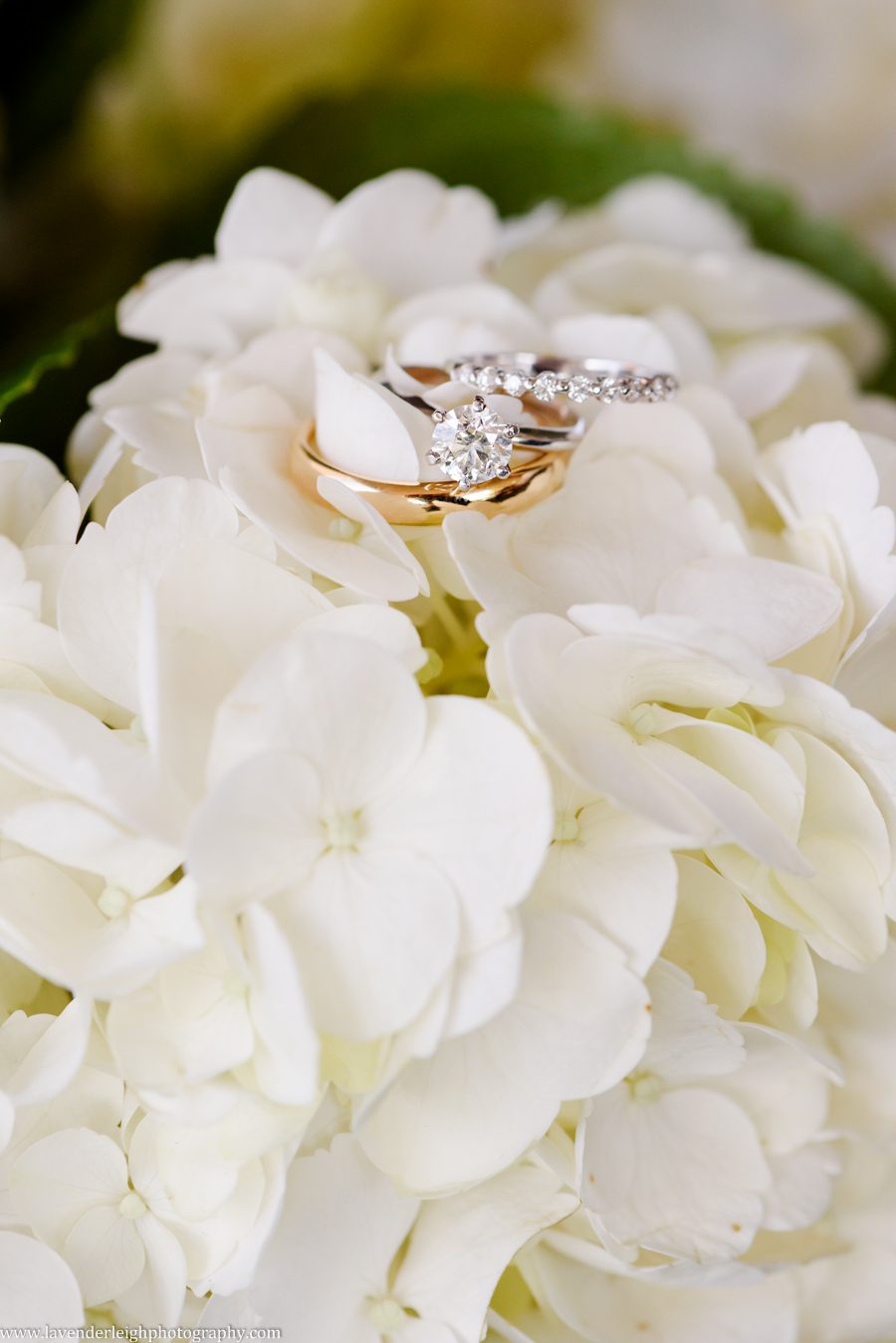 Pittsburgh, wedding photographer, photograph, picture, Montour Country Club, ceremony, reception, golf club, summer, July, Lavender Leigh Photography, Pennsylvania, St. James Catholic Church, lace wedding dress, navy bridesmaids’ dresses, hydrandea flowers