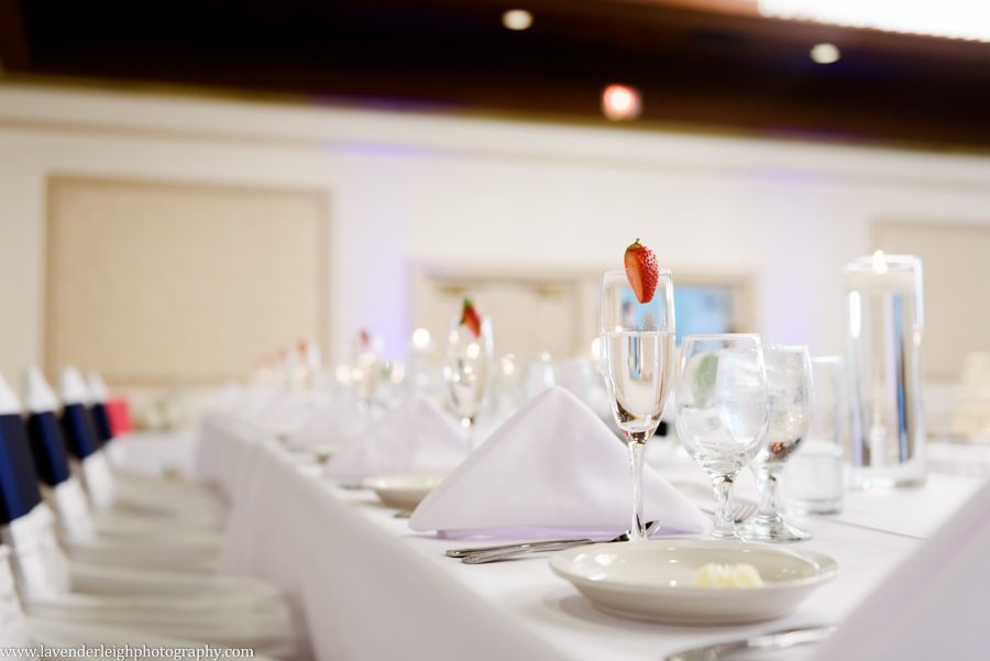 Pittsburgh, wedding photographer, photograph, picture, Montour Country Club, ceremony, reception, golf club, summer, July, Lavender Leigh Photography, Pennsylvania, St. James Catholic Church, lace wedding dress, navy bridesmaids’ dresses, hydrandea flowers