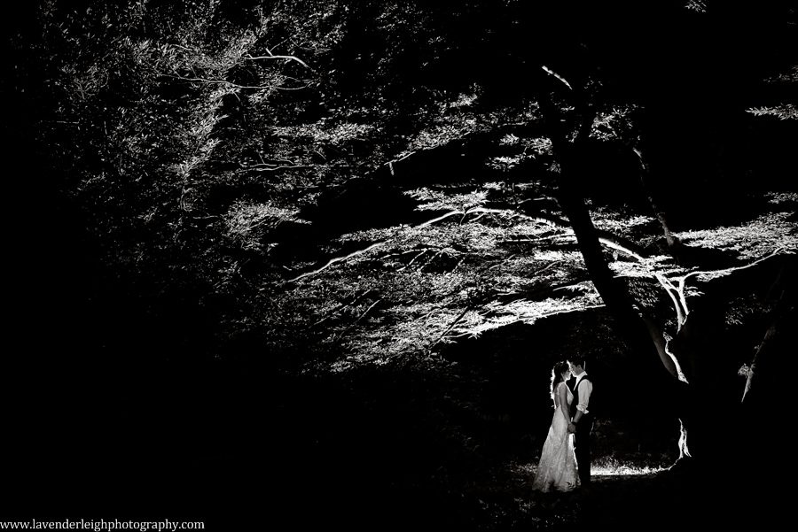 Pittsburgh, wedding photographer, picture, photos, bride, groom, Pennsylvania, Phipps conservatory and botanical gardens, spring, memorial day weekend, Oakland, outdoor, ceremony, reception, lavender leigh photography