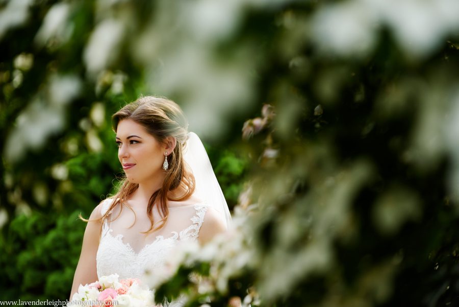 Pittsburgh, wedding photographer, picture, photos, bride, groom, Pennsylvania, Phipps conservatory and botanical gardens, spring, memorial day weekend, Oakland, outdoor, ceremony, reception