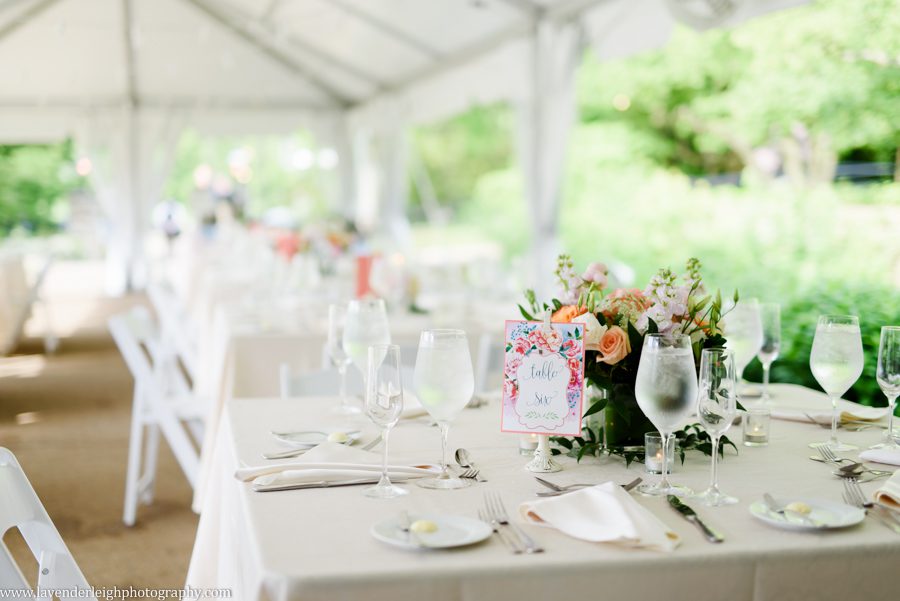 Pittsburgh, wedding photographer, picture, photos, bride, groom, Pennsylvania, Phipps conservatory and botanical gardens, spring, memorial day weekend, Oakland, outdoor, ceremony, reception, lavender leigh photography