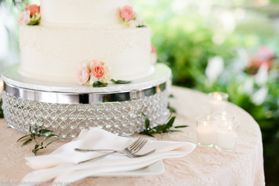 Pittsburgh, wedding photographer, picture, photos, bride, groom, Pennsylvania, Phipps conservatory and botanical gardens, spring, memorial day weekend, Oakland, outdoor, ceremony, reception, lavender leigh photography