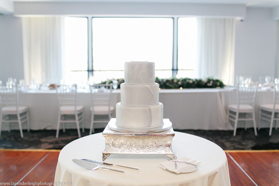 Renaissance Hotel, downtown, city, glamorous, best wedding photographer, Pennsylvania, bride, groom, boudoir, picture, image, photograph, photo, Pittsburgh