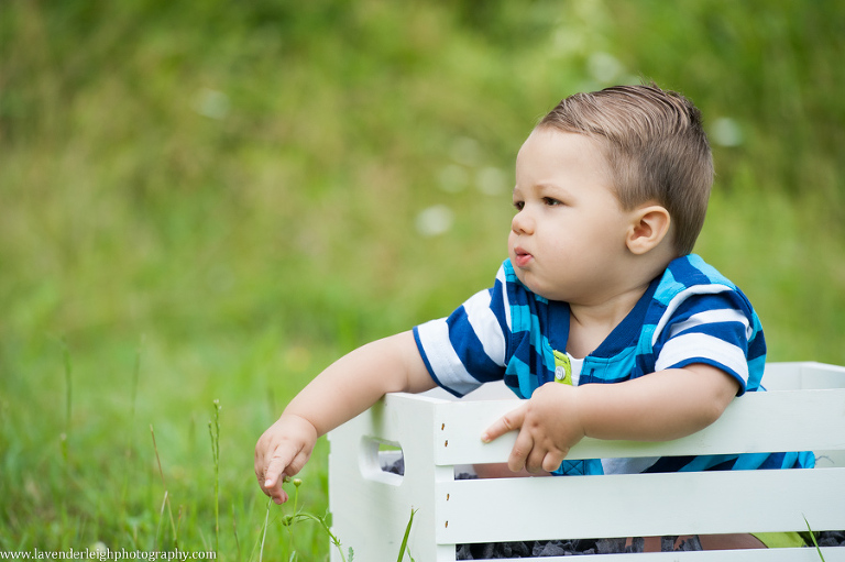 1 Year Old and 3 Year Old Brothers | Settler's Cabin Park| Portrait Session|  Pittsburgh Family Photographer| Pittsburgh Children's Photographer| Lavender Leigh Photography| Blog