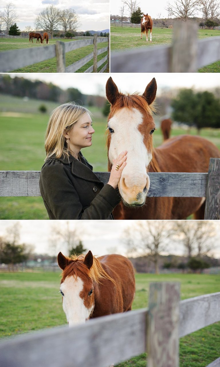 The horses on the grounds of The Farmhouse greeted me for a minute!