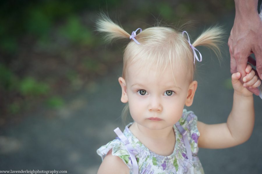 18 Months Old| Portrait Session| Pittsburgh Family Photographer| Pittsburgh Children's Photographer| Lavender Leigh Photography| Blog