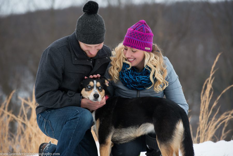 North Park Winter Engagement Session with Dog| Pittsburgh Wedding Photographer | Pittsburgh Wedding Photographers | Lavender Leigh Photography | Blog