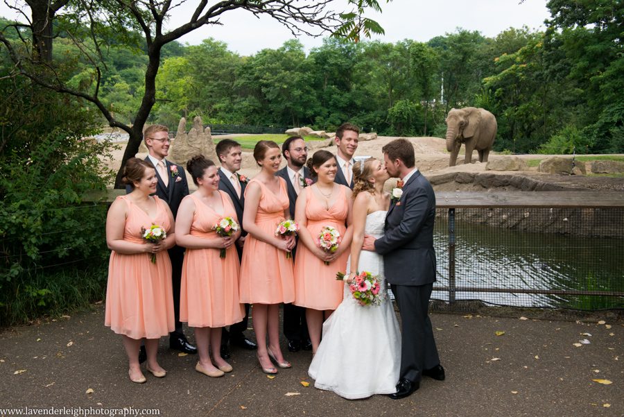 Pittsburgh Zoo Wedding | First Unitarian Church| Bride and Groom |Wedding Party | Pittsburgh Wedding Photographer | Pittsburgh Wedding Photographers | Lavender Leigh Photography | Blog