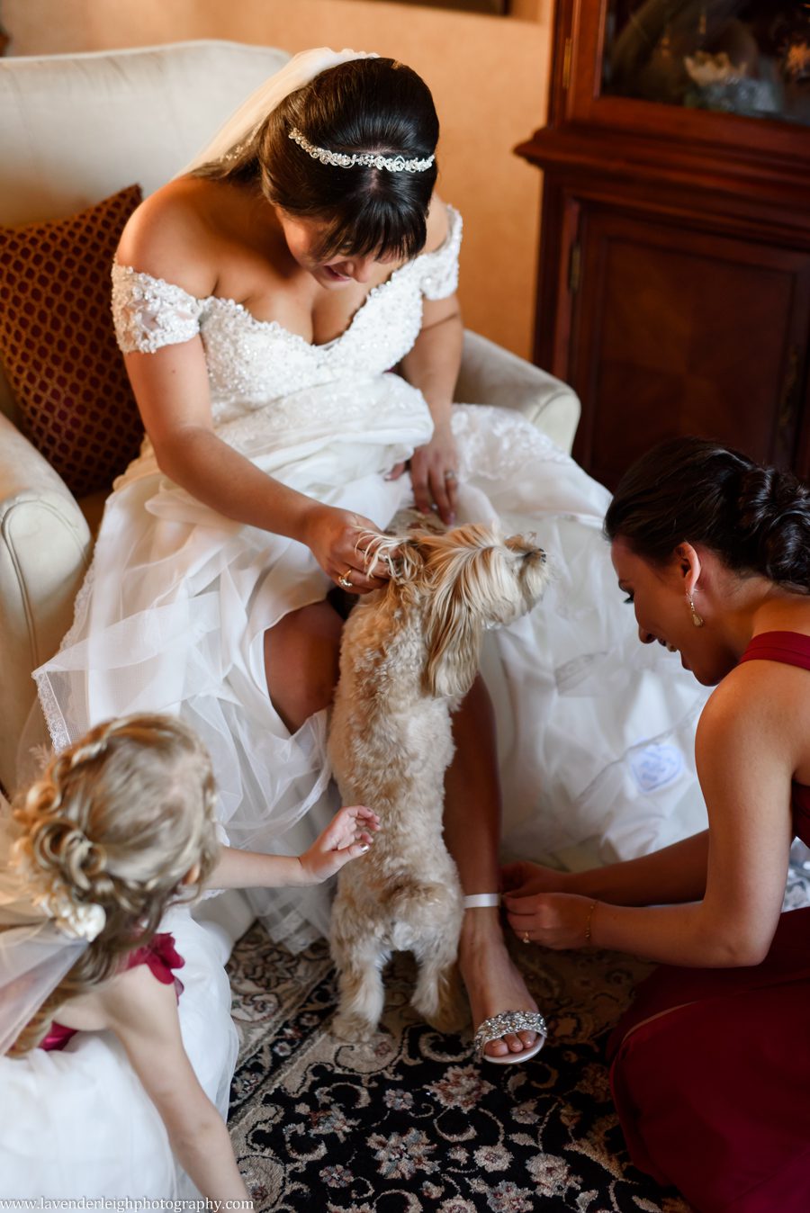 bride greeting her dog, lavender leigh photography, pittsburgh photographer, pennsylvania