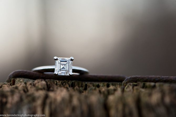 Beechwood Farms Engagement Photographer | Pittsburgh Wedding Photographers | Lavender Leigh Photography | Blog