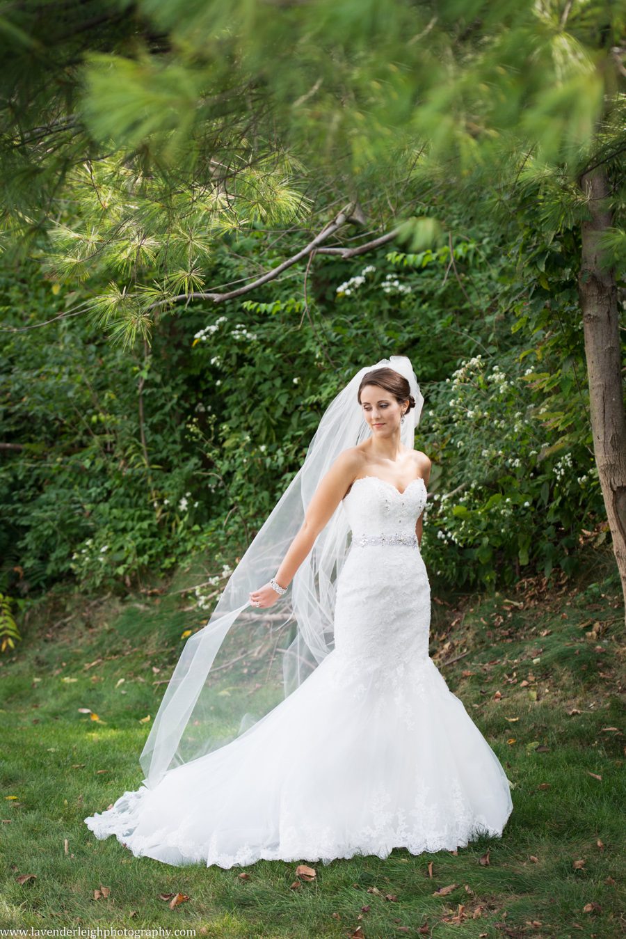 Cefalo's Wedding| Bride | Pittsburgh Wedding Photographer | Pittsburgh Wedding Photographers | Lavender Leigh Photography | Blog